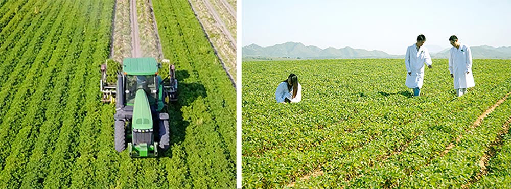 遼寧正業(yè)花生產(chǎn)業(yè)：共抗疫情，龍頭企業(yè)顯擔(dān)當(dāng)！(圖3)