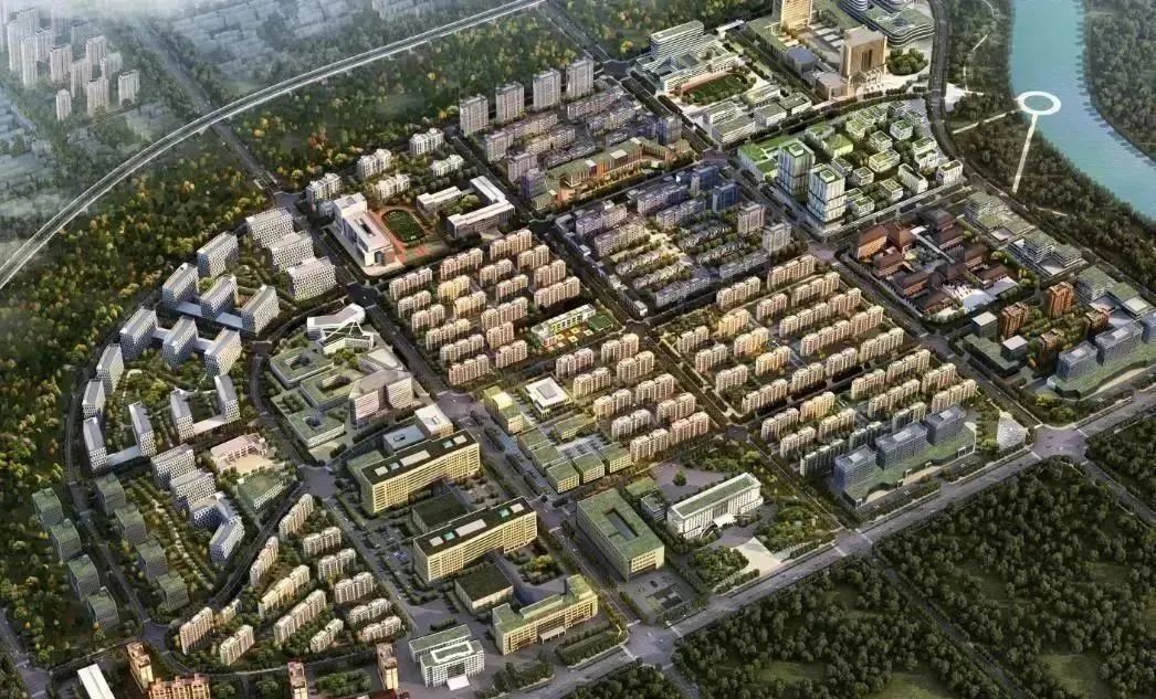 龍港區人大、區政府領導一行視察調研龍港國際醫療健康產業園(圖18)