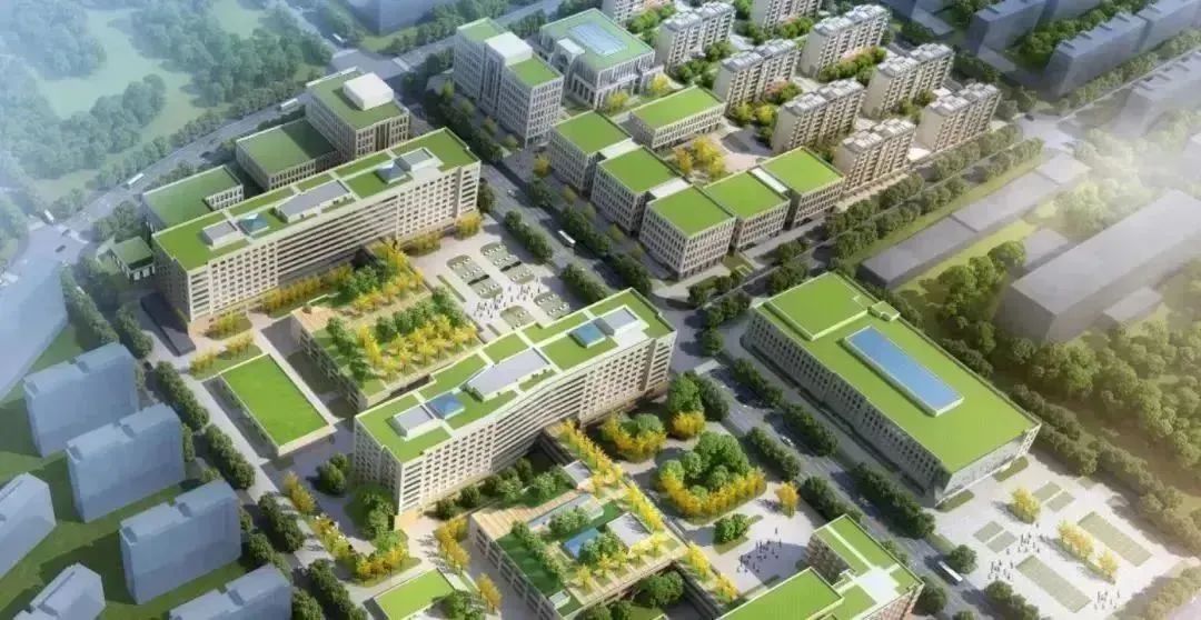 龍港區人大、區政府領導一行視察調研龍港國際醫療健康產業園(圖23)
